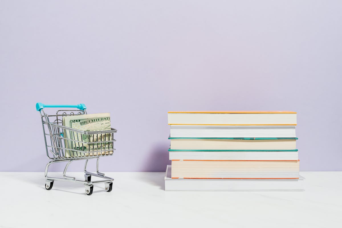 Google Shopping və Performance Max